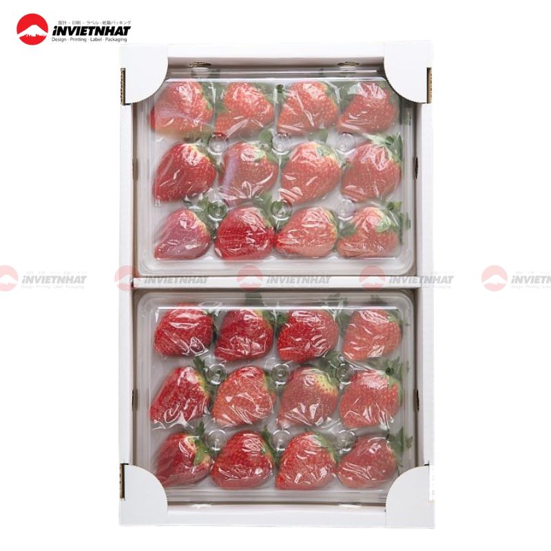 hộp đựng dâu tây 4