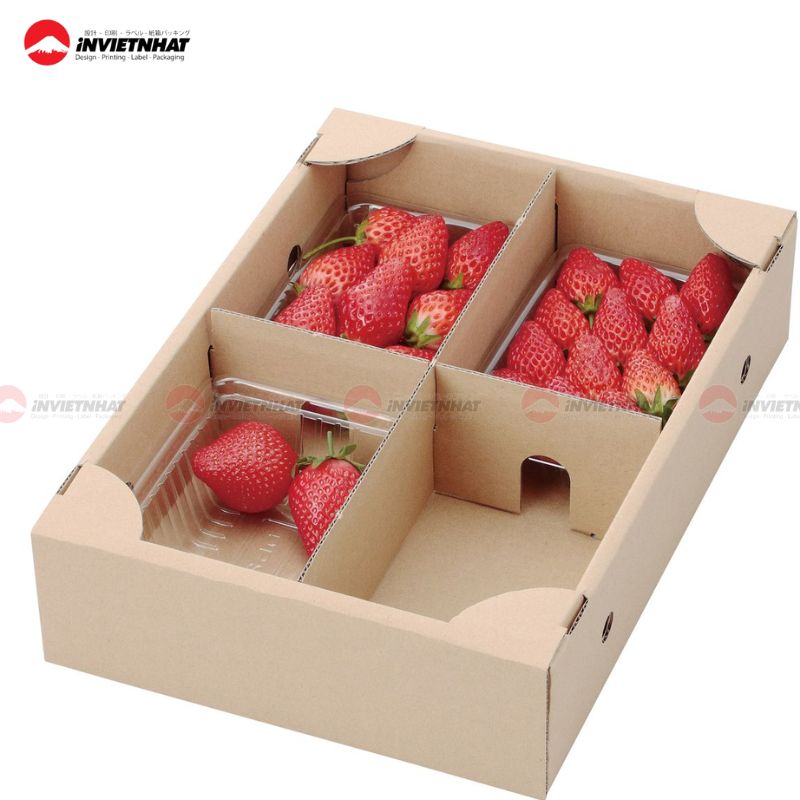 hộp đựng dâu tây 5
