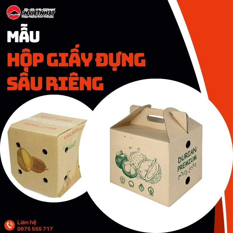 thumb hop giay dung sau rieng