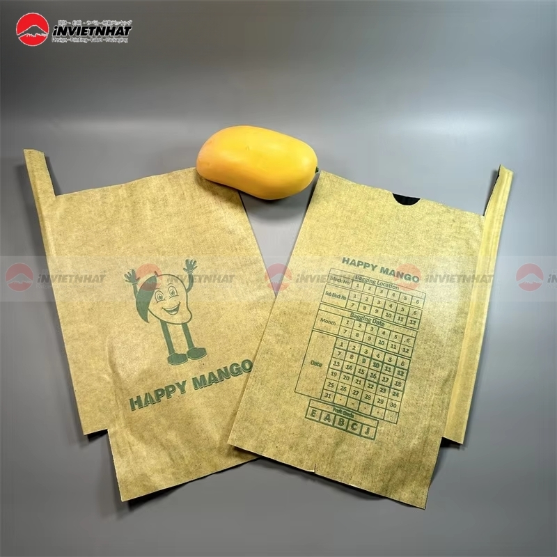 túi giấy trồng xoài