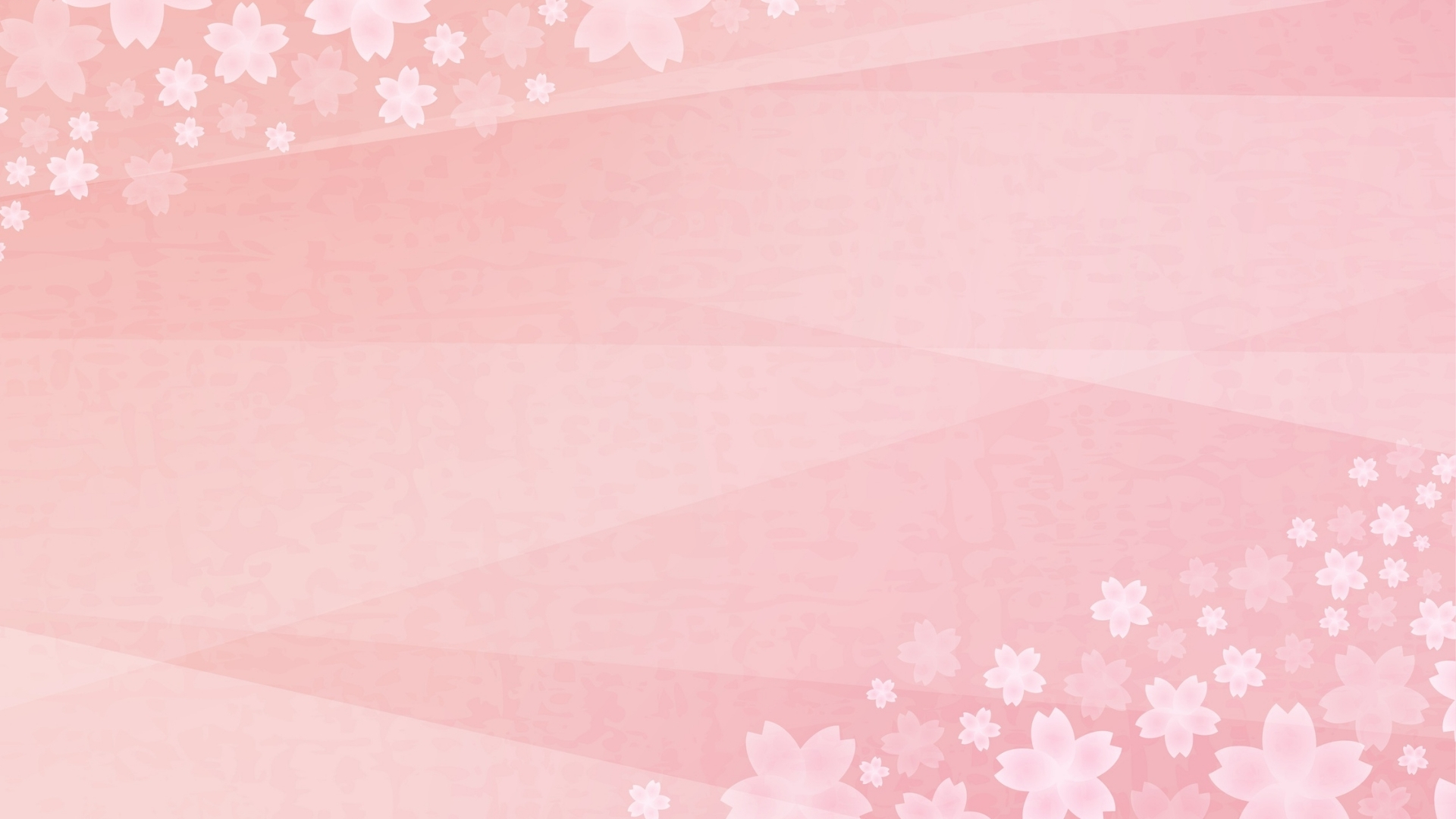 Nền hồng hoa Nền hồng hoa