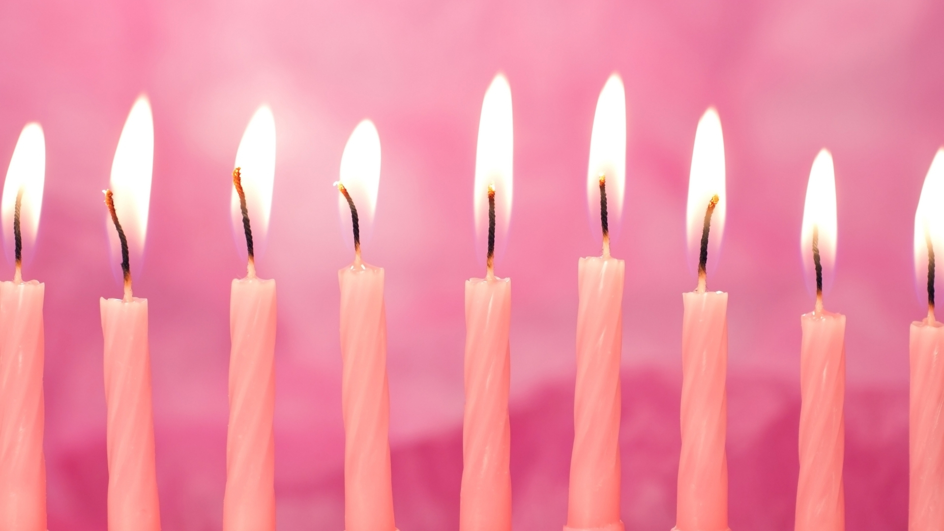 Nền trắng hồng nến Nền trắng hồng nến