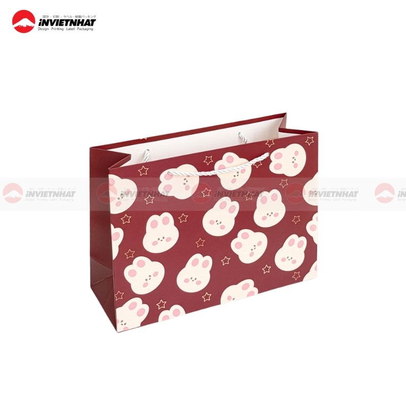 Túi giấy bìa cứng bền (2)