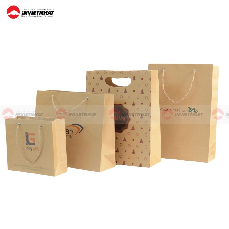 Túi giấy đựng bìa cứng cao cấp