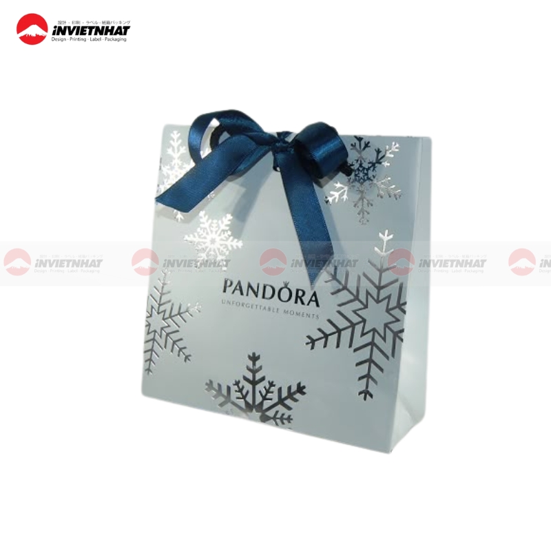 Túi giấy đựng bìa cứng cho shop