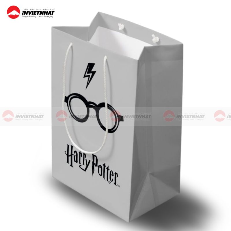 Tui giay dung mat kinh sang trong