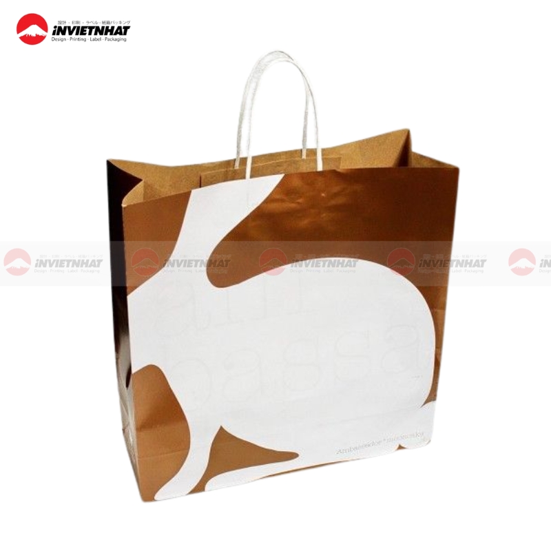 Túi giấy mỹ thuật mang đi