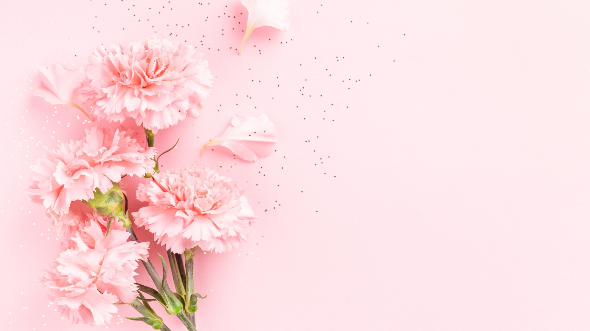 background hồng với hoa background hồng với hoa