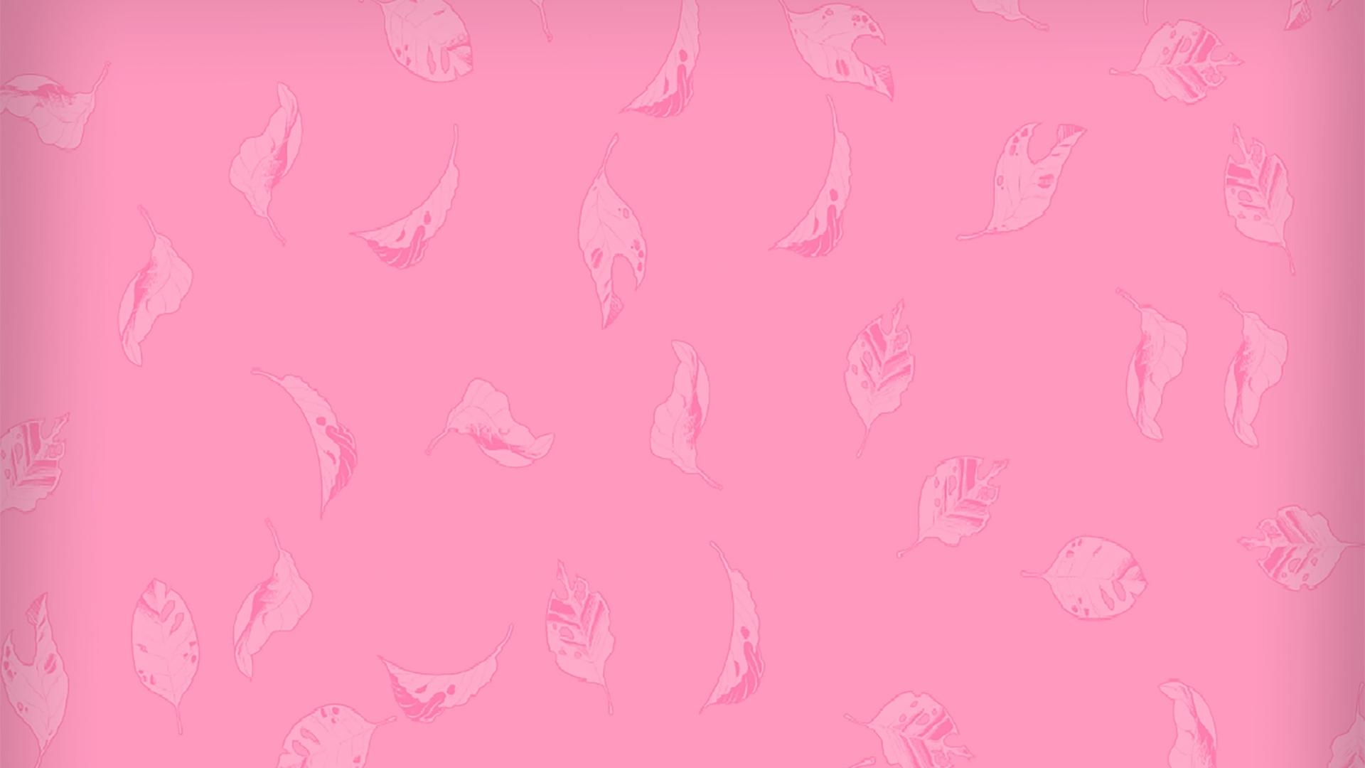 hình nền hồng lá hình nền hồng lá