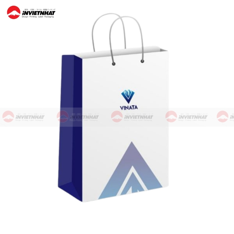 túi giấy sự kiện doanh nghiệp Vinata túi giấy sự kiện doanh nghiệp Vinata