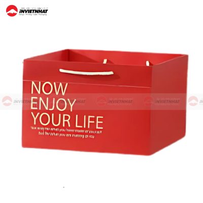 túi giấy vuông sang trọng