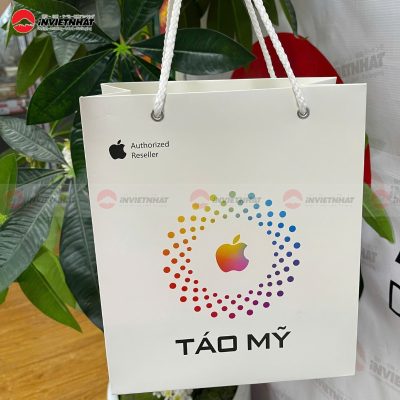 In tui giay cho Shop Tao My