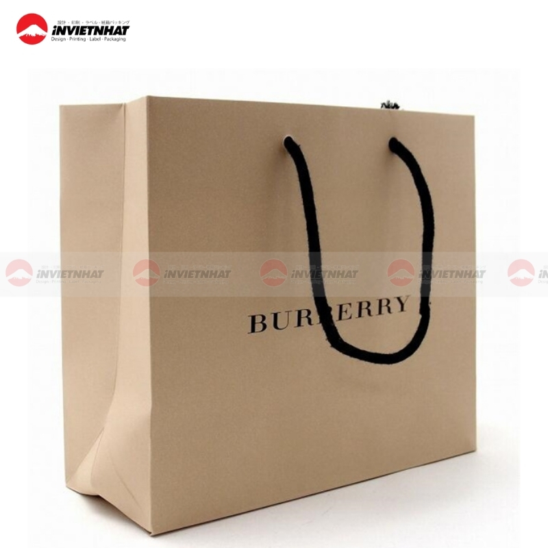 Tui giay Burberry chinh hang