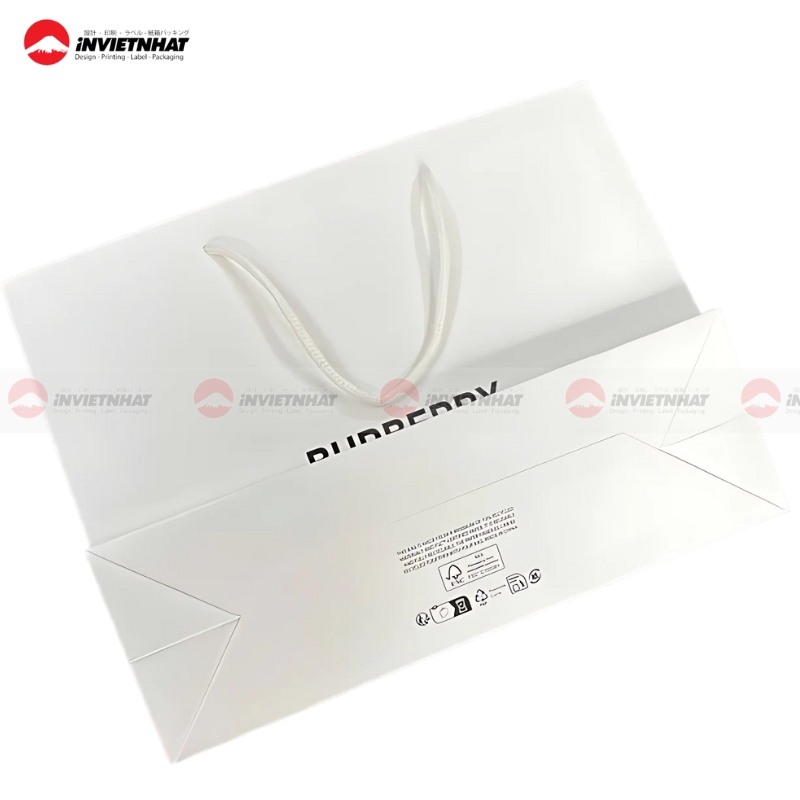 Tui giay Burberry cong so