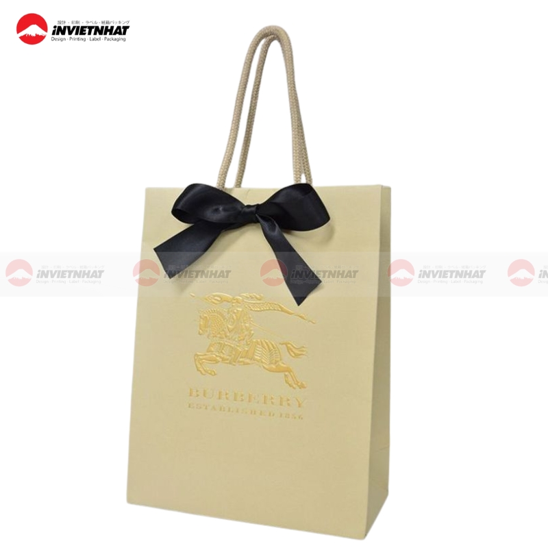 Tui giay Burberry dang dung