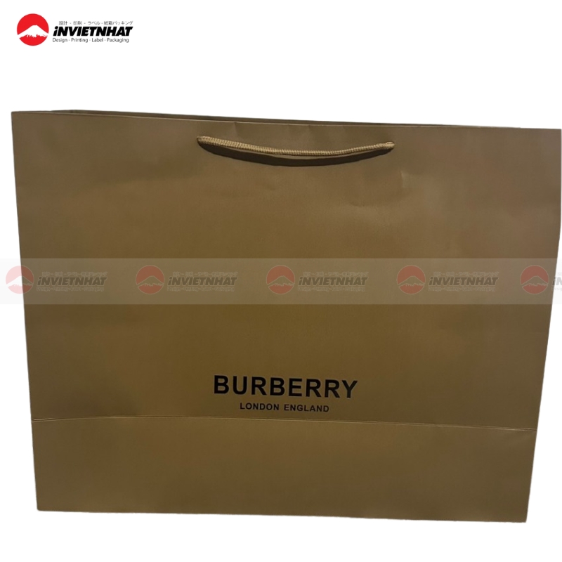 Tui giay Burberry dang ngang