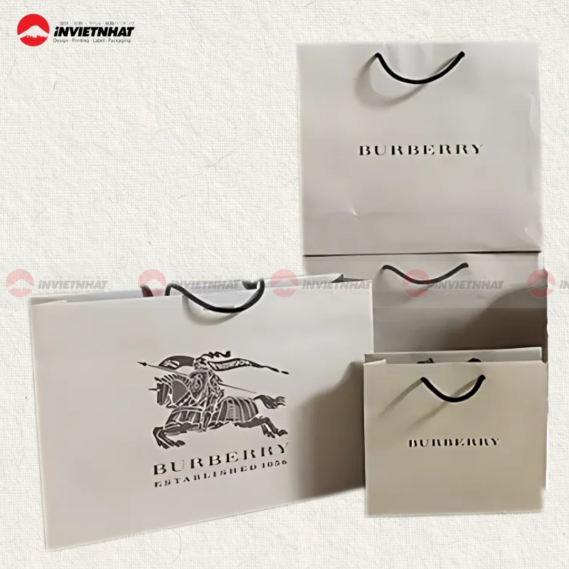 Tui giay Burberry dep