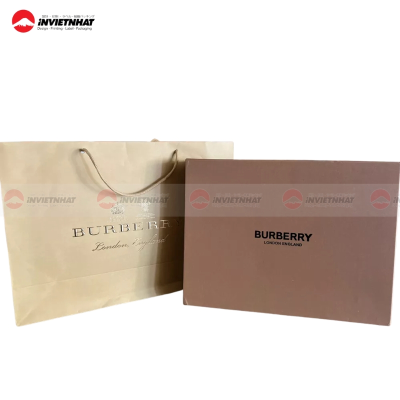Tui giay Burberry doc dao