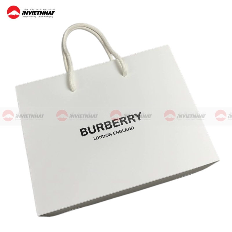 Tui giay Burberry hottrend