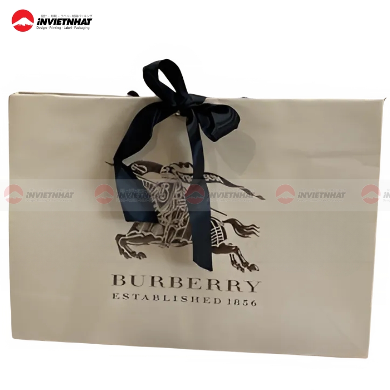 Tui giay Burberry ke soc