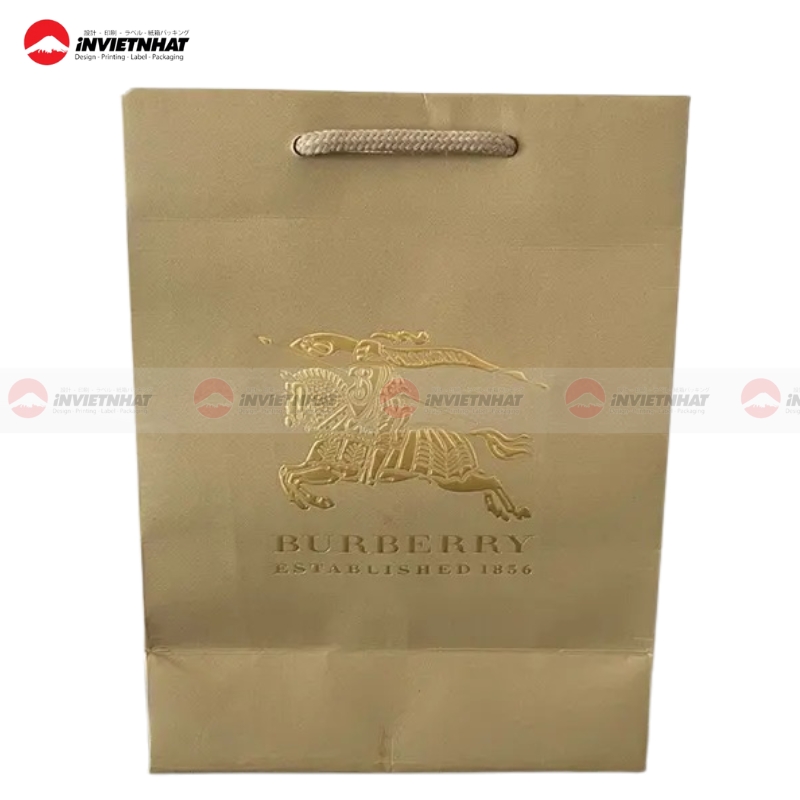 Tui giay Burberry kieu hop