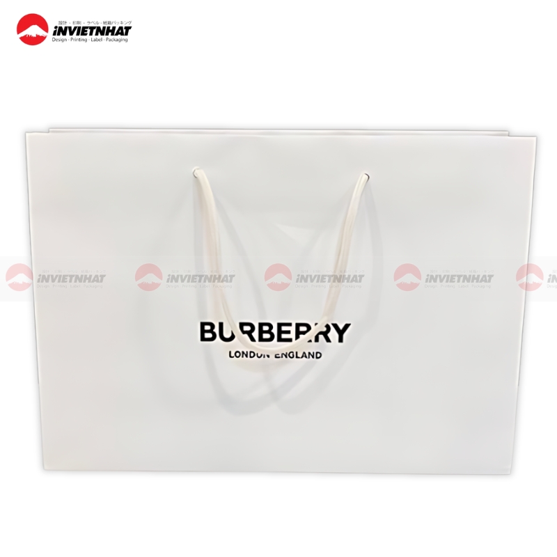 Tui giay Burberry mau trang