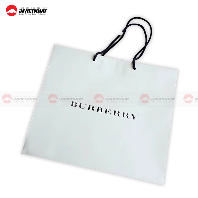 Tui giay Burberry phong cach