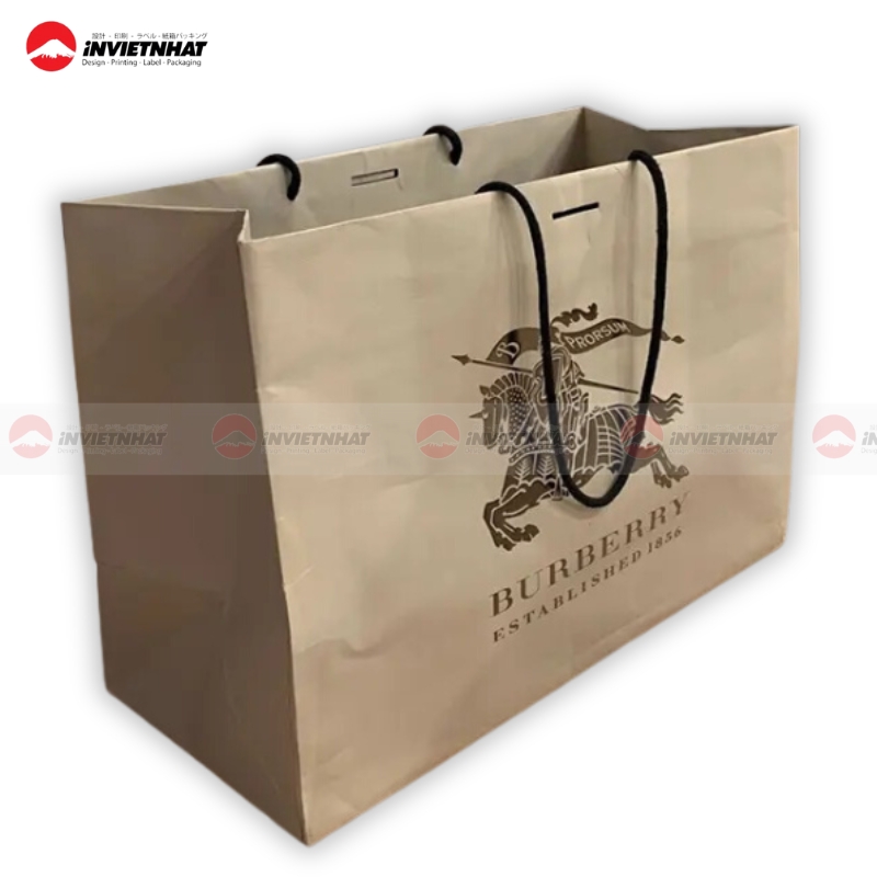 Tui giay Burberry thoi trang