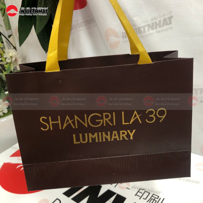 in tui giay day ruy bang