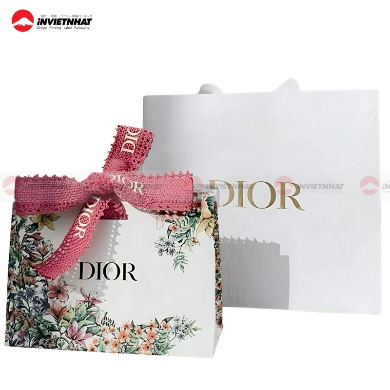 19+ Mẫu túi giấy Dior ĐẸP, ấn tượng, sang trọng và đẳng cấp 38 mau Tui giay Dior hang hieu
