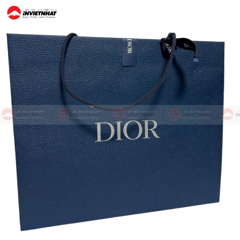 19+ Mẫu túi giấy Dior ĐẸP, ấn tượng, sang trọng và đẳng cấp 27 mau Tui giay Dior thanh lich