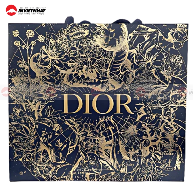 19+ Mẫu túi giấy Dior ĐẸP, ấn tượng, sang trọng và đẳng cấp 28 mau Tui giay Dior