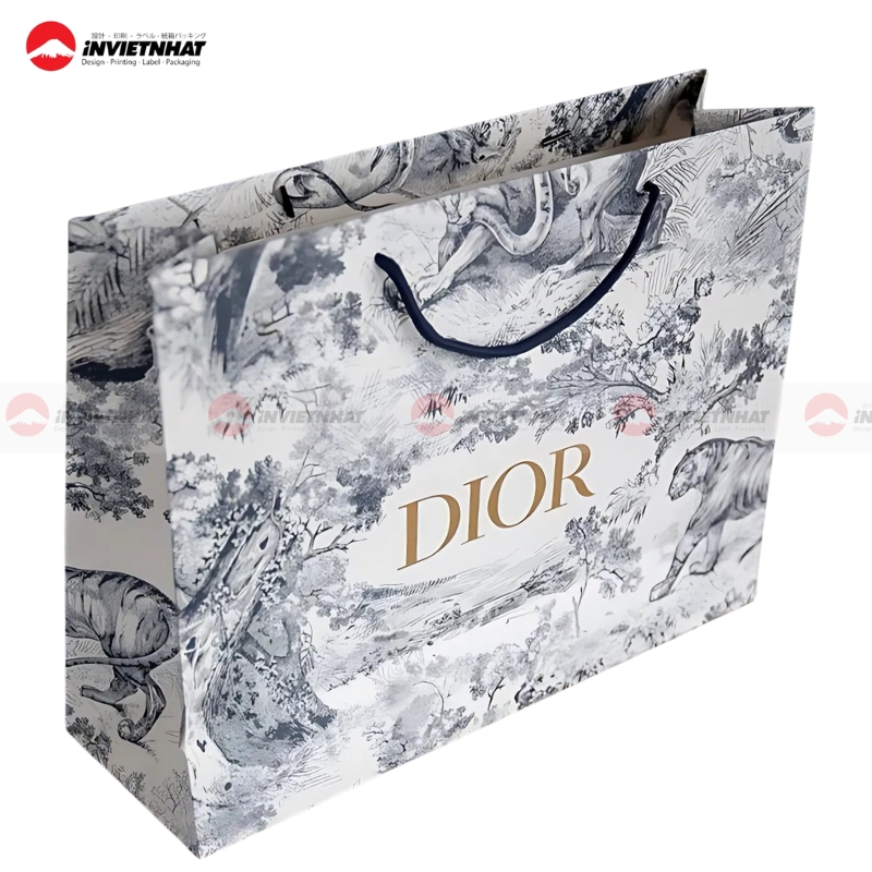 19+ Mẫu túi giấy Dior ĐẸP, ấn tượng, sang trọng và đẳng cấp 34 mau tui giay Dior cho tui