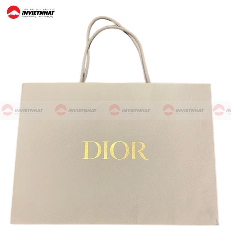 19+ Mẫu túi giấy Dior ĐẸP, ấn tượng, sang trọng và đẳng cấp 35 mau tui giay Dior chuan