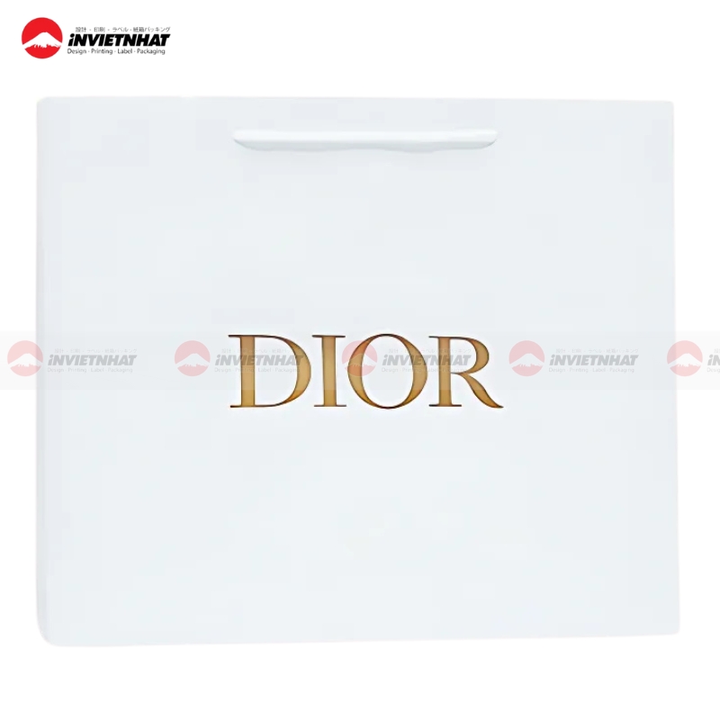 19+ Mẫu túi giấy Dior ĐẸP, ấn tượng, sang trọng và đẳng cấp 21 mau tui giay Dior moi nhat