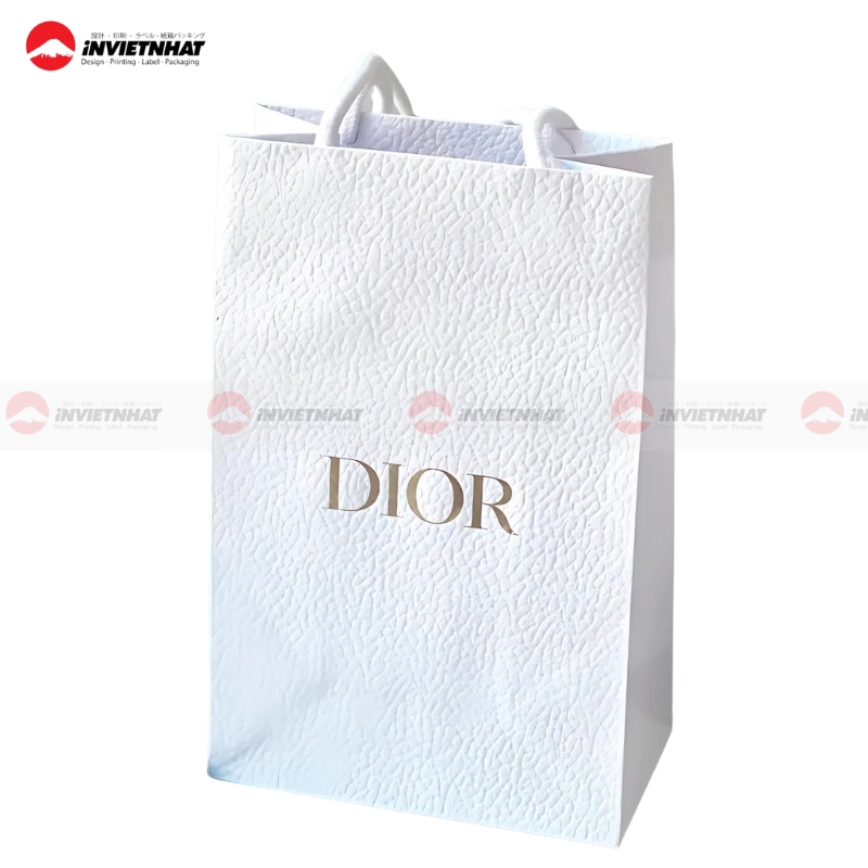 19+ Mẫu túi giấy Dior ĐẸP, ấn tượng, sang trọng và đẳng cấp 22 mau tui giay Dior mua sam