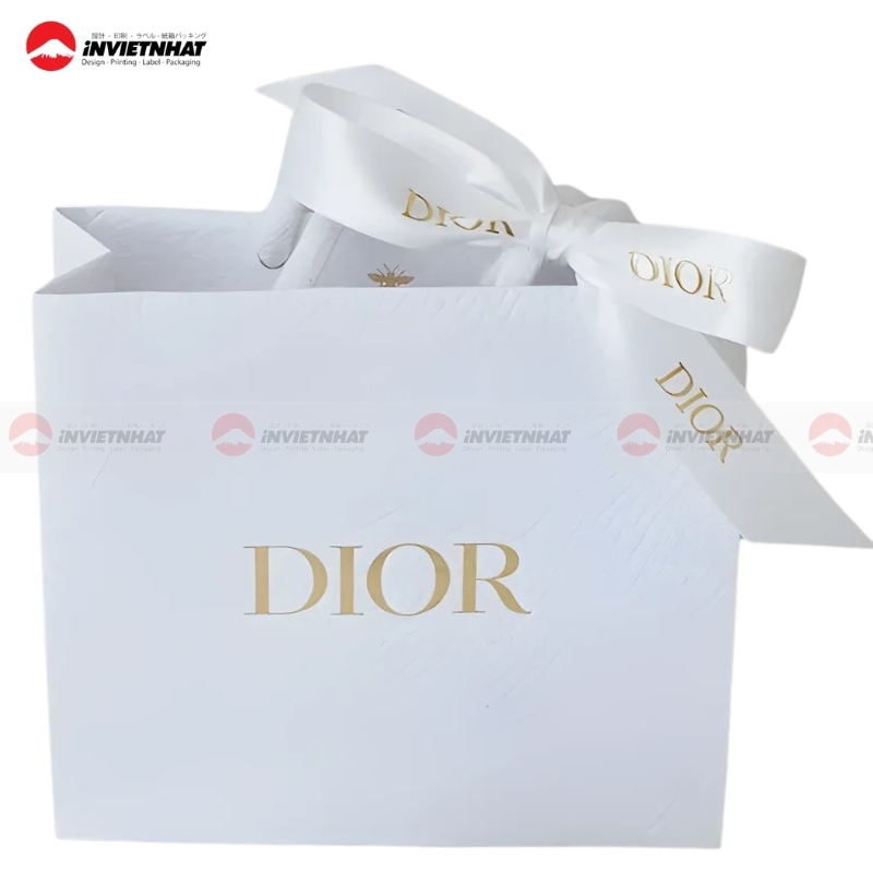19+ Mẫu túi giấy Dior ĐẸP, ấn tượng, sang trọng và đẳng cấp 26 mau tui giay Dior sang trong