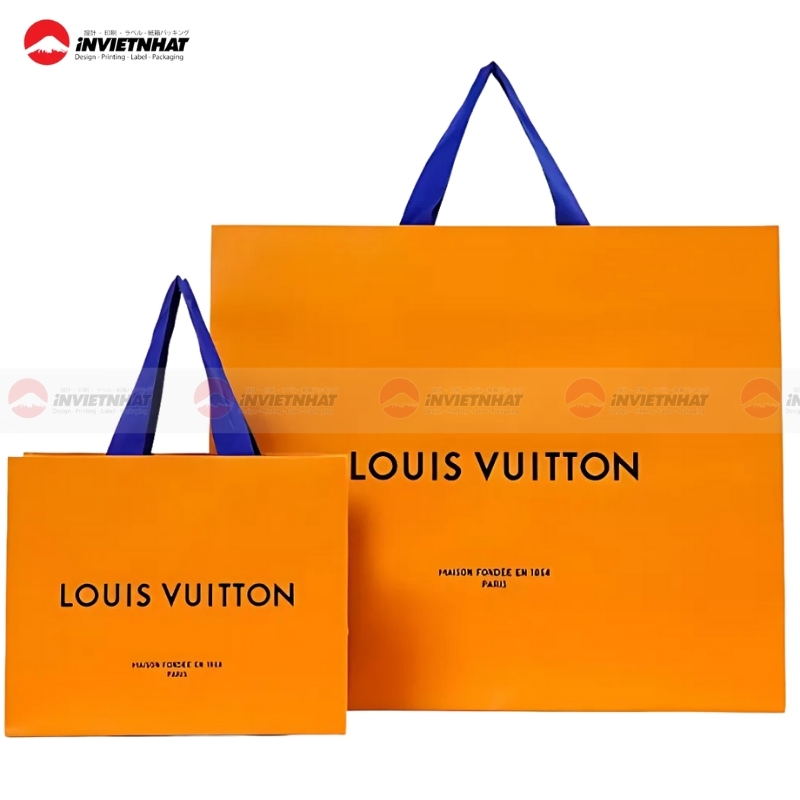 tui giay LV nguyen ban