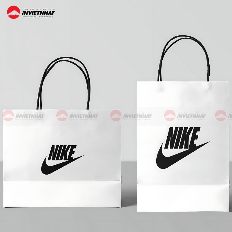 tui giay Nike chinh hang