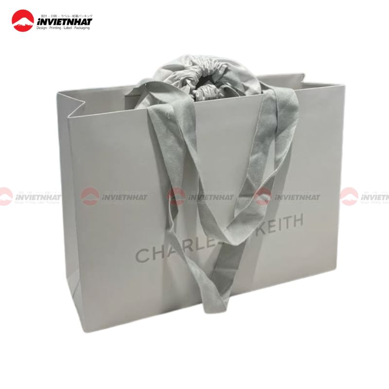 túi giấy charles & keith 2