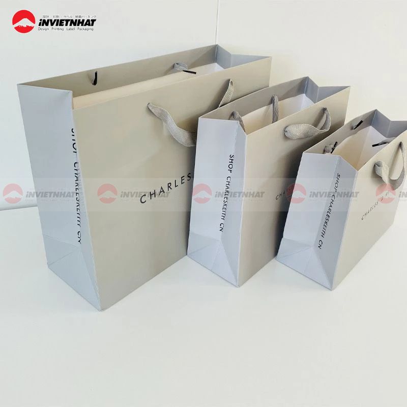Túi giấy Charles & Keith chính hãng
