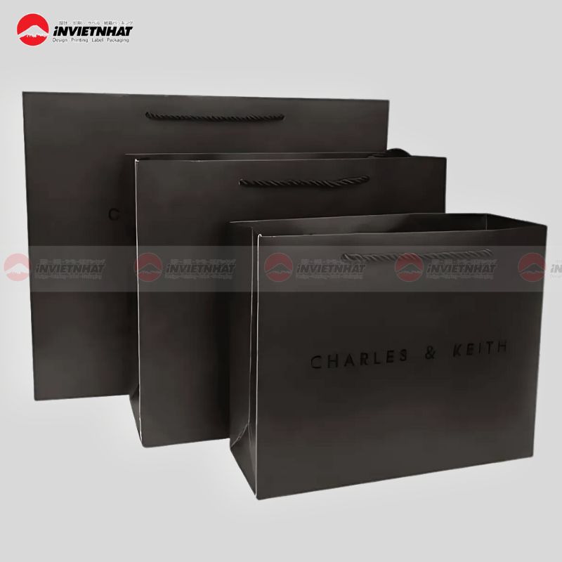 Túi giấy Charles & Keith đen