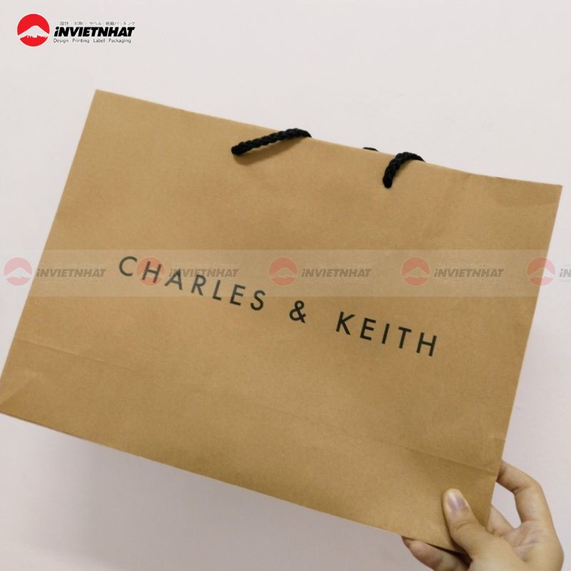 Túi giấy Charles & Keith thời trang