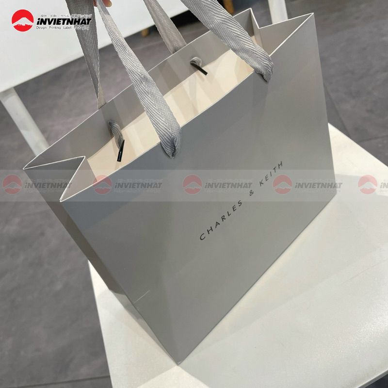 Túi giấy Charles & Keith xám