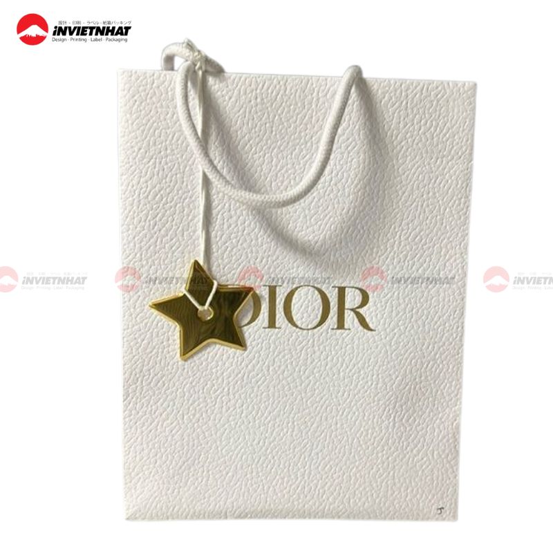 túi giấy dior 1