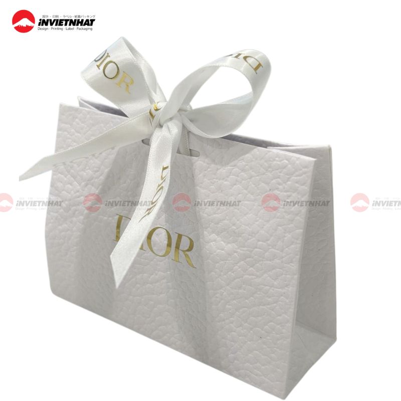 21+ Mẫu túi giấy Dior ĐẸP, ấn tượng, sang trọng và đẳng cấp 21 túi giấy dior 2