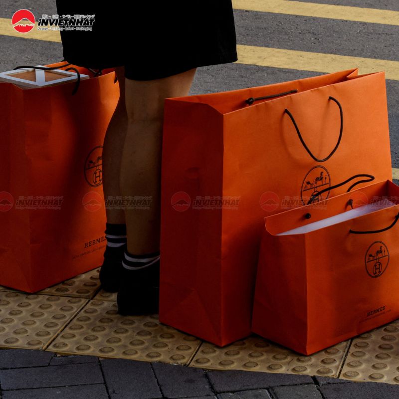 BST 15+ Mẫu túi giấy Hermes ĐẸP, ấn tượng, đẳng cấp 16 túi giấy hermes 2