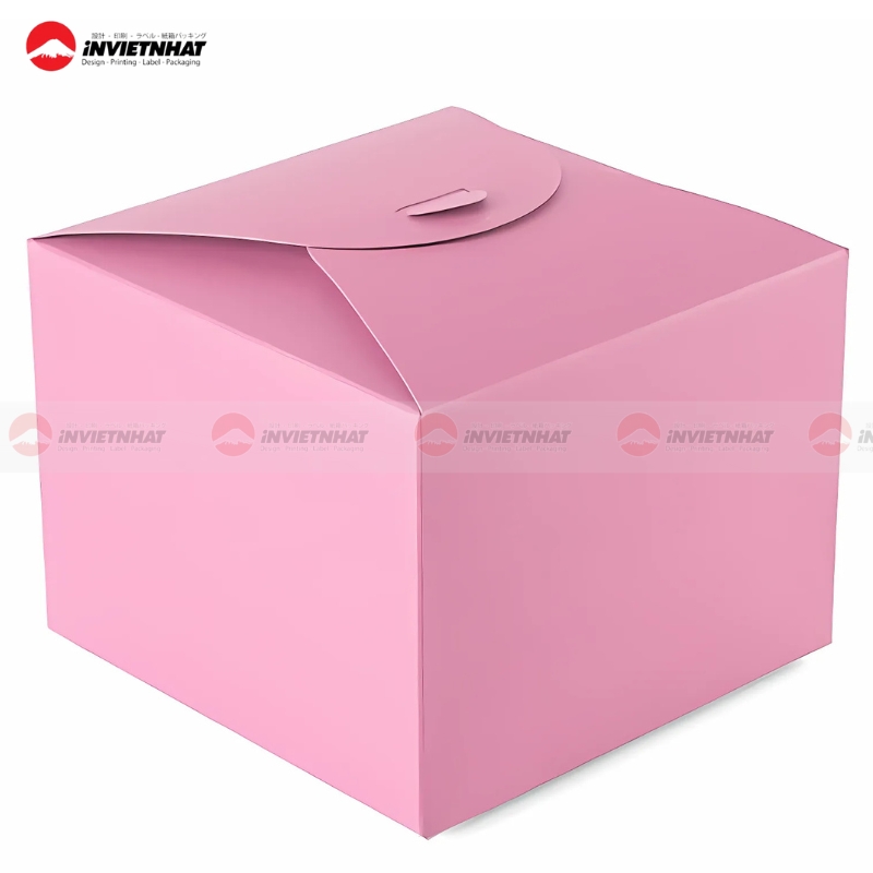 Hop giay mau hong nap gai I3