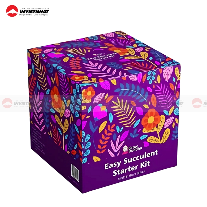 hop giay mau tim hoa tiet nhieu mau