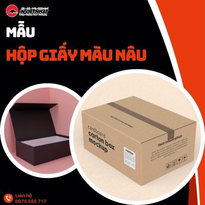 thumb hop giay mau nau